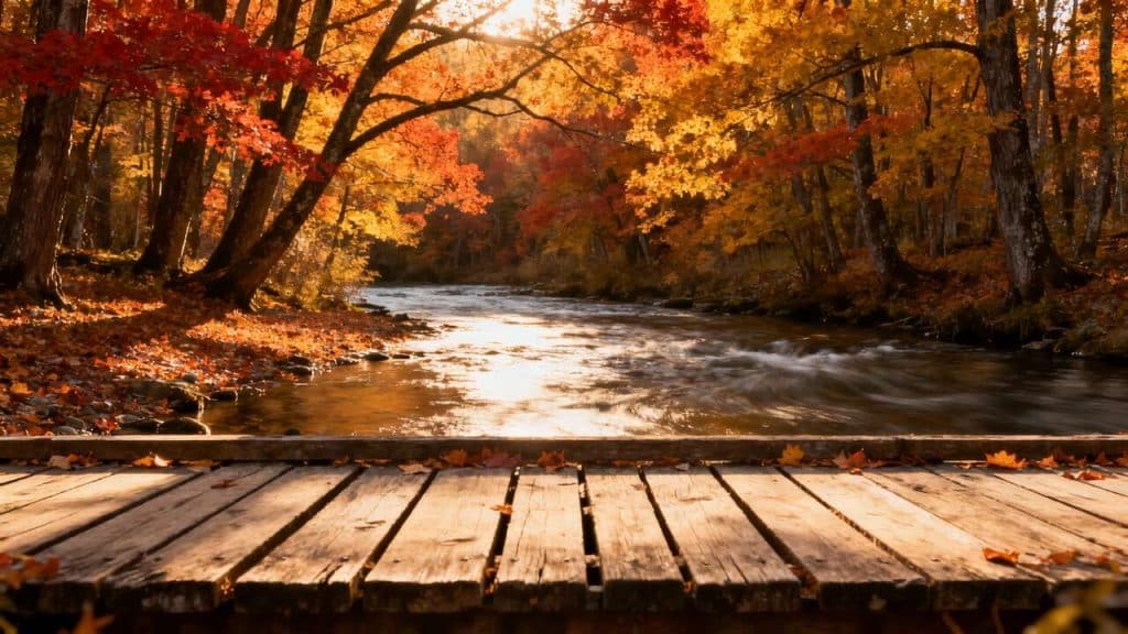 Bien sûr ! Voici la liste :