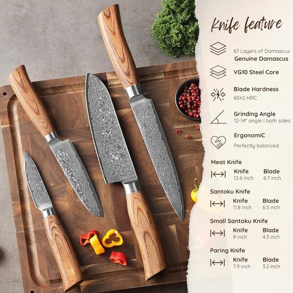 WAKOLI Edib Pro Set de 4 couteaux en Damas I Lames en acier damassé à 67 couches avec noyau VG10 et manches en bois de pakka I Couteaux de cuisine professionnels, dans une boîte en bois